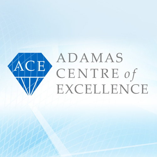 The ADAMAS Centre of Excellence (ACE)